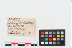 Etiketten zu Bernsteinperle (NHMW-PRAE-024928)